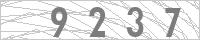 Your Captcha Code is: Nine, Two, Three, Seven.