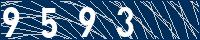 Your Captcha Code is: Nine, Five, Nine, Three.